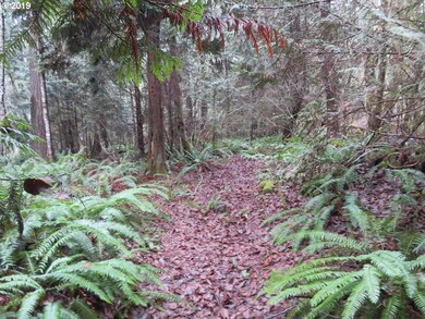 0 Cousins Rd unit 19109688, Chehalis, WA 98532 - photo 7