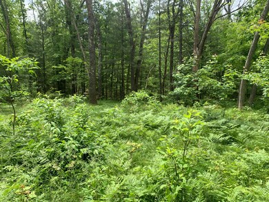 IMG-1613