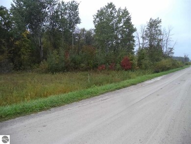 V/L 65-Miller Michigan 65, Whittemore, MI 48770 - photo 2