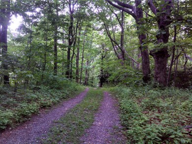 TBD Hughes Shelter Rd, Meadows of Dan, VA 24120 - photo 4