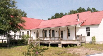 Back View