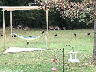 275 Greene 7242 Rd, Paragould, AR 72450 - photo 6