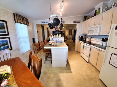 49 Pine Aire Cir, Lake Placid, FL 33852 - photo 6