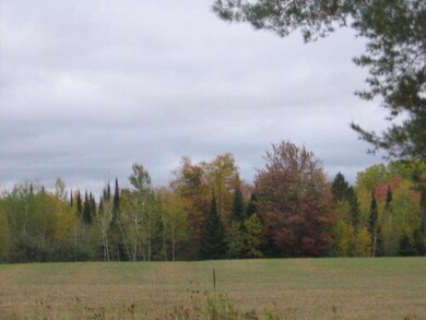 Field View