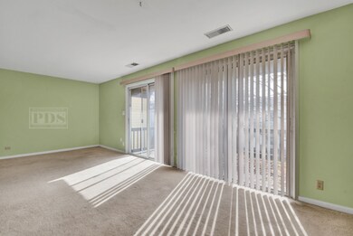 50 Plymouth Ct unit 5202B, Naperville, IL 60565 - photo 5