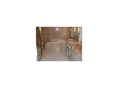 Marble master bath with Jacuzzi Tub and Separate S