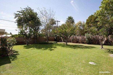 Backyard 1
