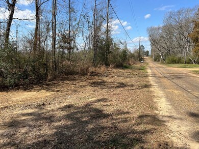 Street view facing west