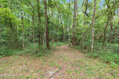 37-web-or-mls-IMG_7893
