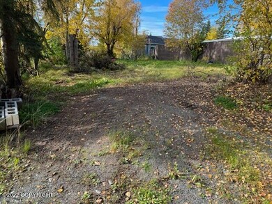 IMG_0743
