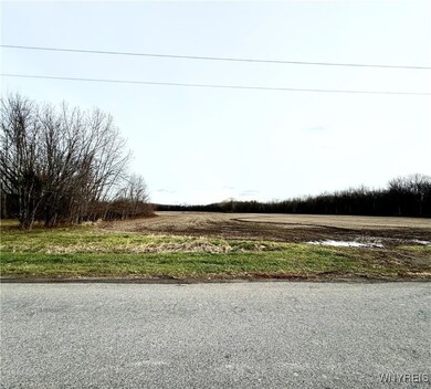 2728 Marshall Rd, Medina, NY 14103 - photo 5