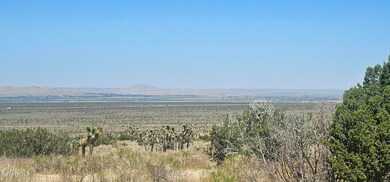 0 Avenue X 136th St E unit 23006122, Pearblossom, CA 93553 - photo 3