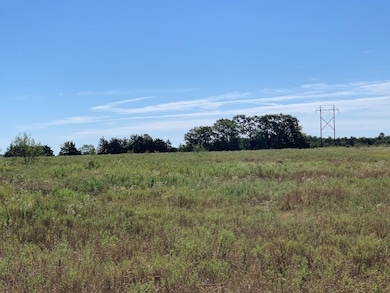 133 ac Hwy 39, Normangee, TX 77871 - photo 6