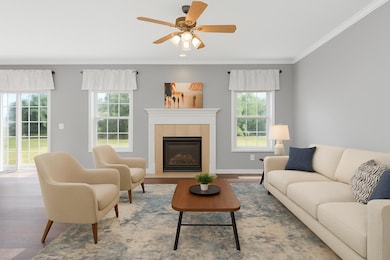Natural Gas Fireplace