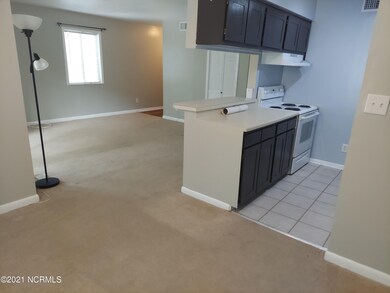 Galley Kitchen and living area