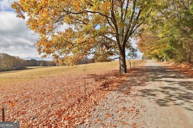 LOT 3 Mask Road - Hanner's Farm S, Brooks, GA 30205 - photo 2