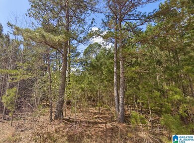 0 County Road 621 unit 21438044, Newell, AL 36280 - photo 6