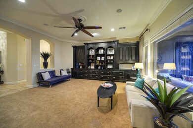 10 Foot Ceilings