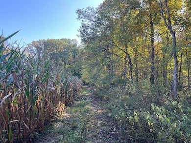 0 W Saint Joseph St, Lawrence, MI 49064 - photo 4