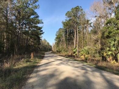 XXX River Plantation Rd, Crawfordville, FL 32327 - photo 7