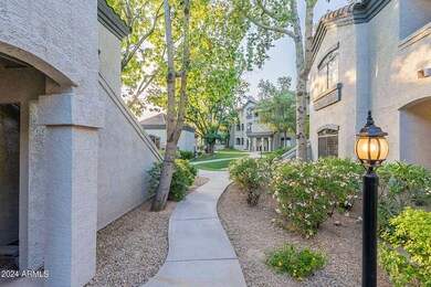 5-web-or-mls-Thompson-HD-5