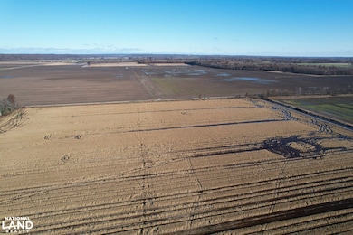 001 Il Route 3, Olive Branch, IL 62969 - photo 2