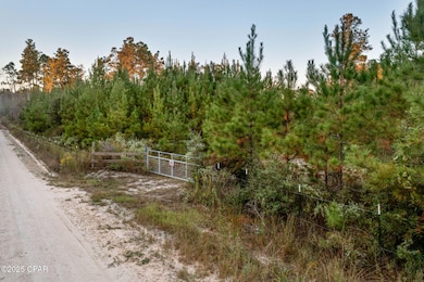 XXX Open Creek Rd unit South Lot, Chipley, FL 32425 - photo 2