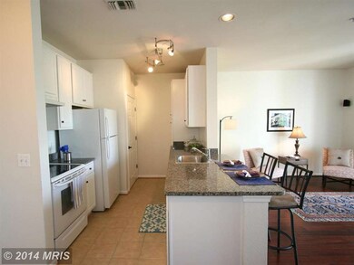 54 Regatta Bay Ct unit 321, Annapolis, MD 21401 - photo 7