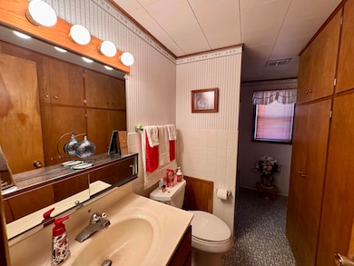 208 4th St SW, Waukon, IA 52172 - photo 7