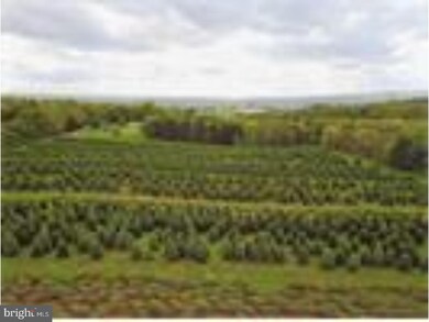 0 Sculps Hill Rd unit 1000282802, Auburn, PA 17922 - photo 7