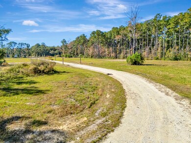 3021 Doar Creek Trail, Awendaw, SC 29429 - photo 5