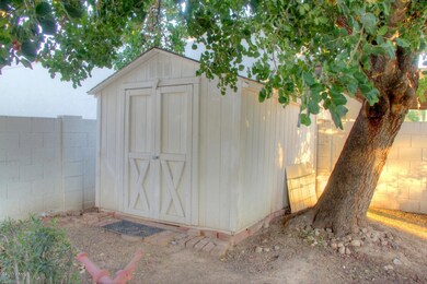 shed