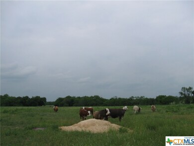 Great Cattle Grazing Land