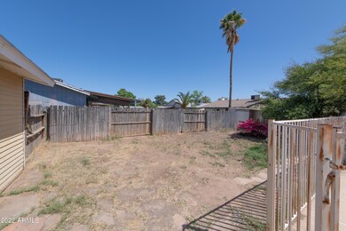 014_Backyard