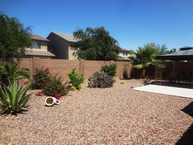 backyard2