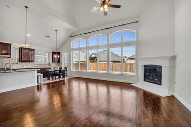 127 Mint Marigold Dr, Wylie, TX 75098 - photo 5