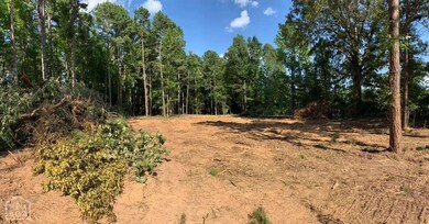 0 Greene Road 614, Paragould, AR 72450 - photo 2