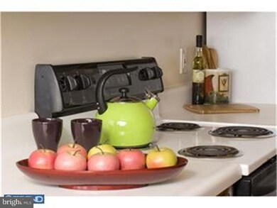 104 W North Ln unit 104-A3, Conshohocken, PA 19428 - photo 4