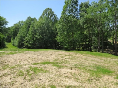 Driveway would be in the top left grassy area of this photo