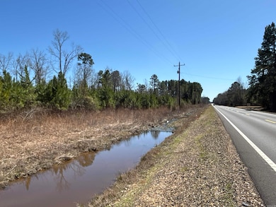 Southward view along the highway.