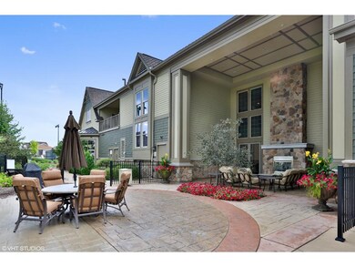 Large Patio with Grill and Outdoor Fireplace.