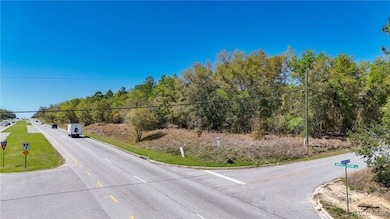 161 W Norvell Bryant Hwy, Hernando, FL 34442 - photo 6