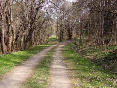 0 Scotch Blooming Hill Rd unit B1332977, Freedom, NY 14065 - photo 5