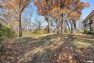 2315 W Cannes Dr unit A, Peoria, IL 61615 - photo 2