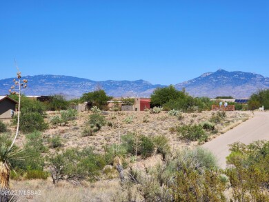 Rincon Mountains