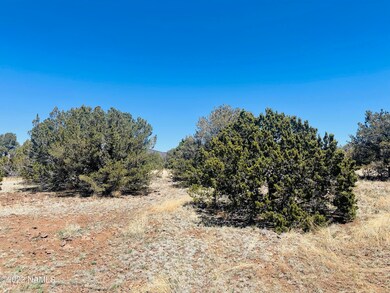 1156 E Hoctor Rd Photo 6