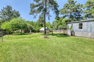 23718 Brushy Trails St, Hockley, TX 77447 - photo 4