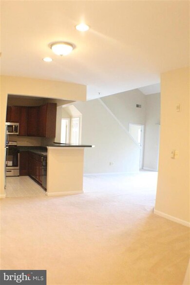 11337 Westbrook Mill Ln unit 302, Fairfax, VA 22030 - photo 5
