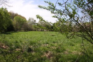 Tract 1 Bunker Rd, Harrison, AR 72601 - photo 6