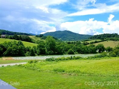 71 Rabbit Ham Rd, Leicester, NC 28748 - photo 2